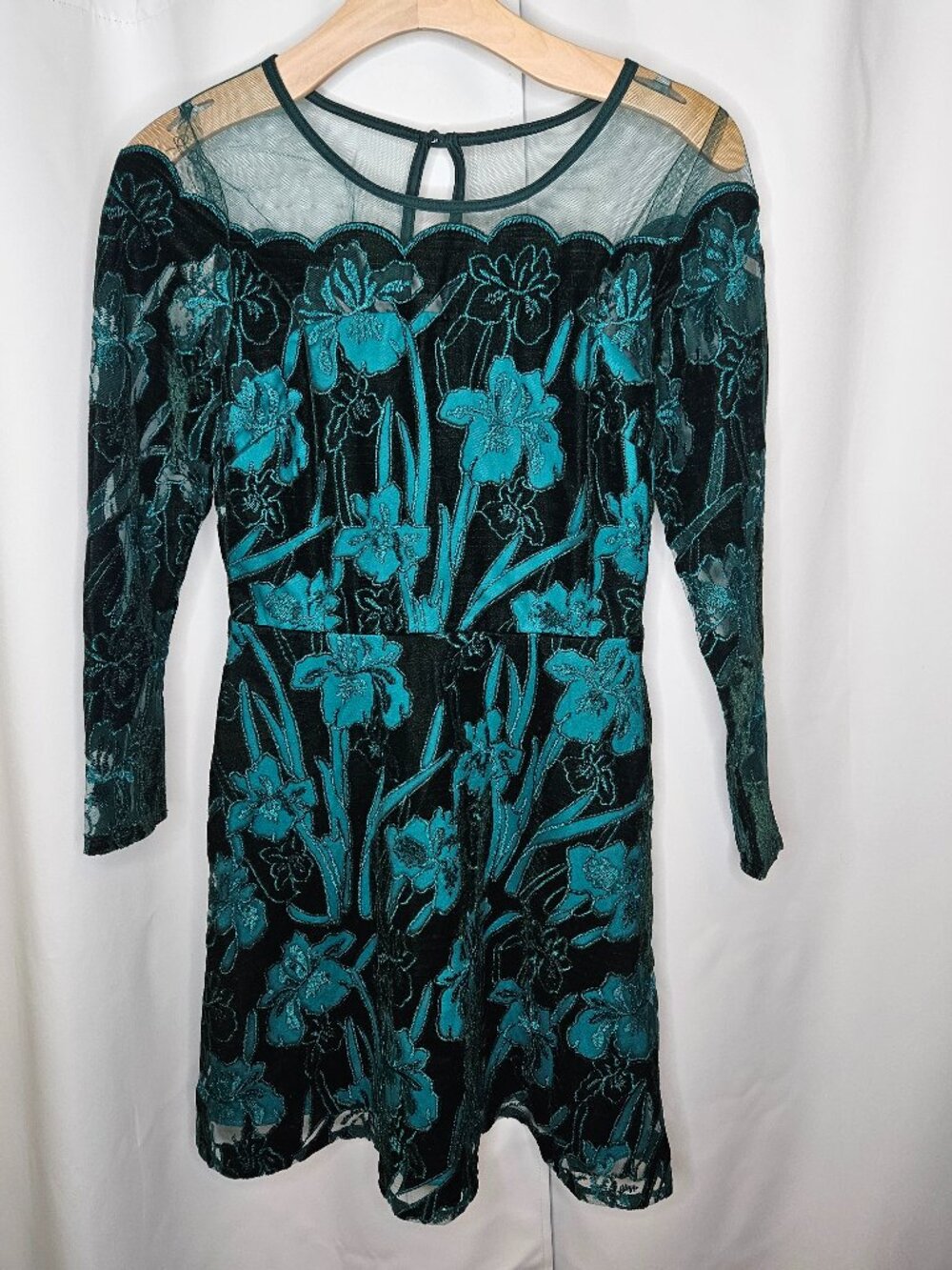 NWT Anthropologie x Eva Franco Juliet Velvet Embroidered Mini Dress - Size 0